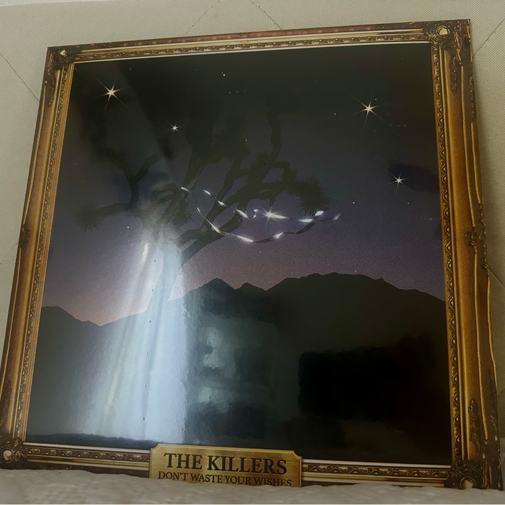 The Killers Vinyl Record - Don't Waste Your Wishes - Black